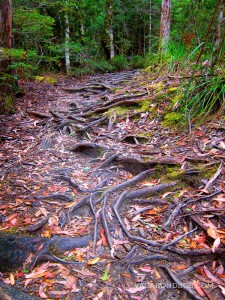 Overland-Track-FB-050